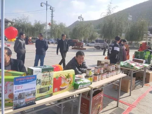 舌尖上的綠色 高原遺珍，狀元故里——會(huì)寧小雜糧狀元食品暨民俗文化產(chǎn)品展銷會(huì)與電子商務(wù)推介會(huì)紀(jì)實(shí)