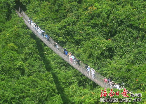國慶假期海南旅文行業(yè)強勢復蘇，多元產品供給激活國內旅游市場